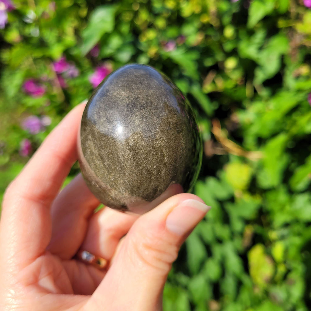 Oeuf en obsidienne dorée du Mexique 6cm - 180gr