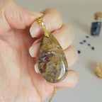 Pendentif agate palmier pétrifié 4 cm
