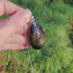 Pendentif obsidienne dorée 4 cm bélière argentée